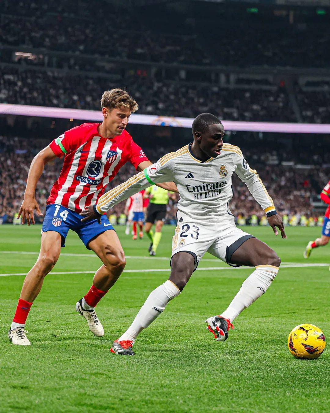 波斯尼亚主场战平对手，晋级形势严峻的简单介绍